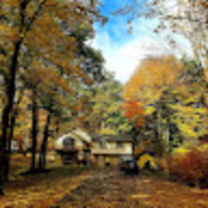 Meet your Posher, Julya